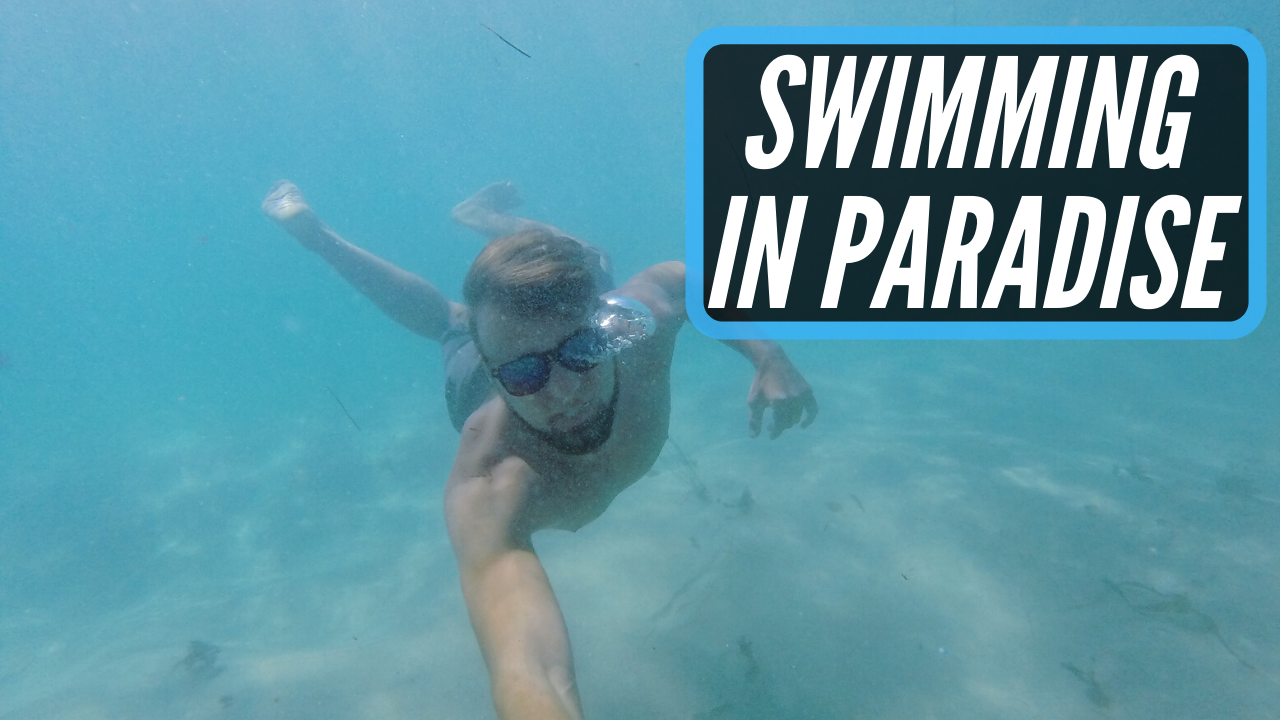 Swimming In Paradise Van Life Documentary Vlogmas 2019