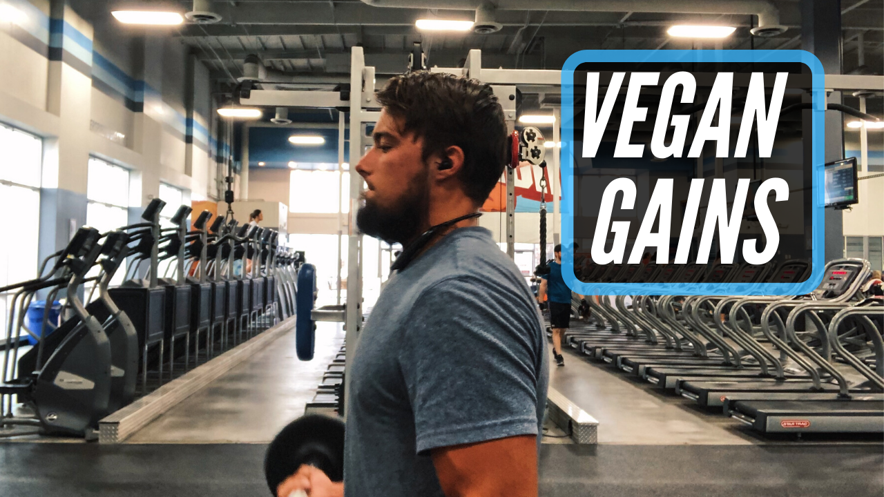 Vegan Gains Van Life Vlogmas 2019
