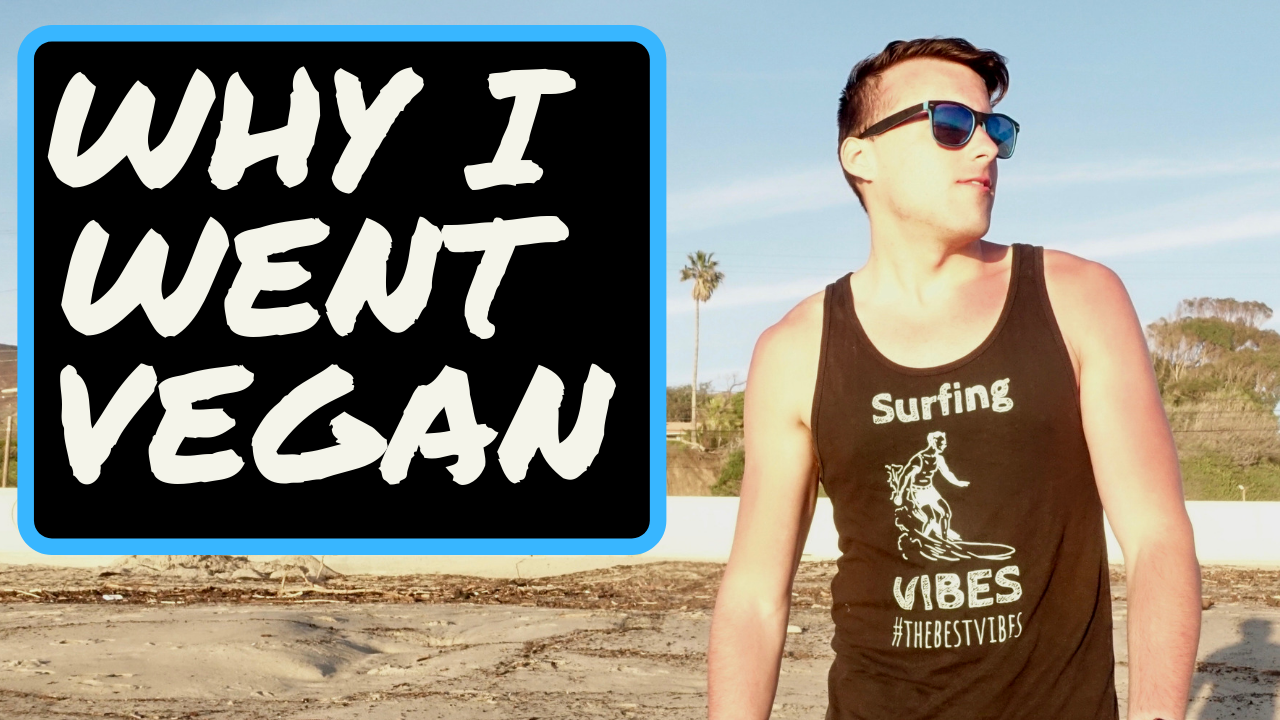 Why I Went Vegan Living The Van Life As A Vegan